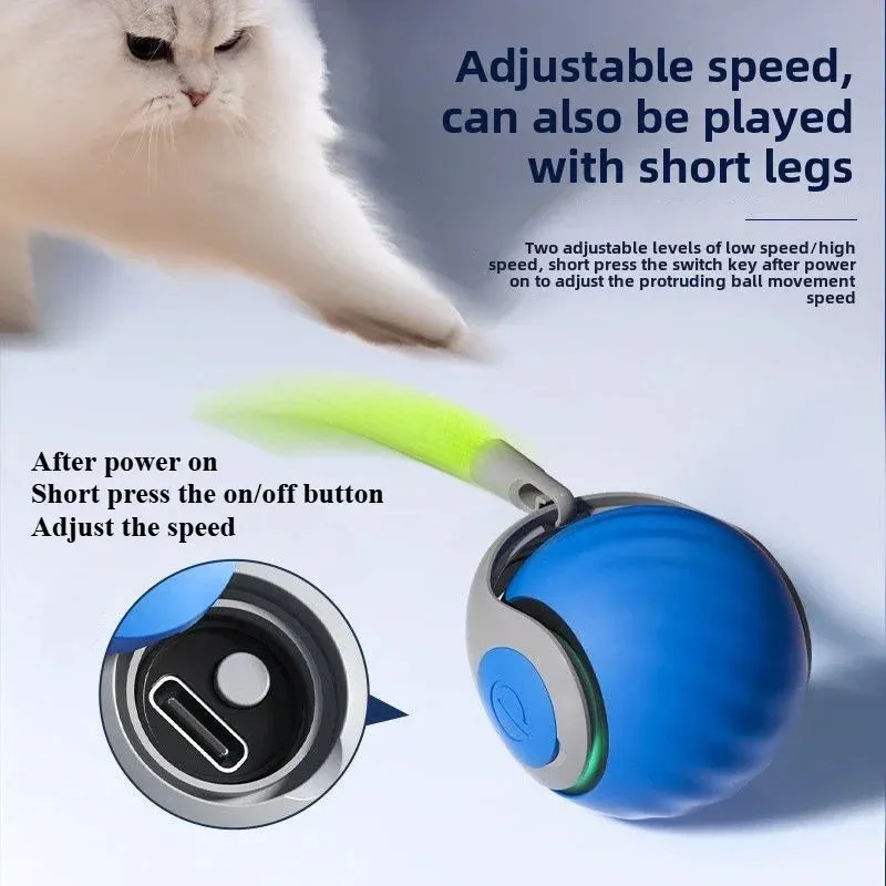 2025 New Interactive Cat Toy Ball Small Tail Rolling Ball Suitable for Indoor and Outdoor Cat and Dog Play Toys for Cats Things