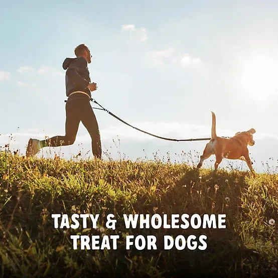4health Chicken and Apple Flavor Jerky Tenders Dog Treats, 24 oz.