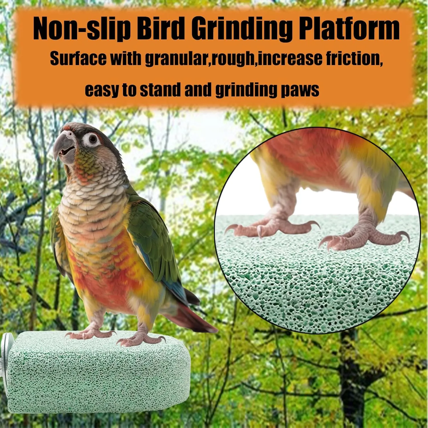 Allazone Pet Teeth Grinding Stone and Perch, Bird Perch Stands, Natural Chewing Toys for Small Medium Birds Budgies Conures Cockatiels Rats (4 Colores, Small)