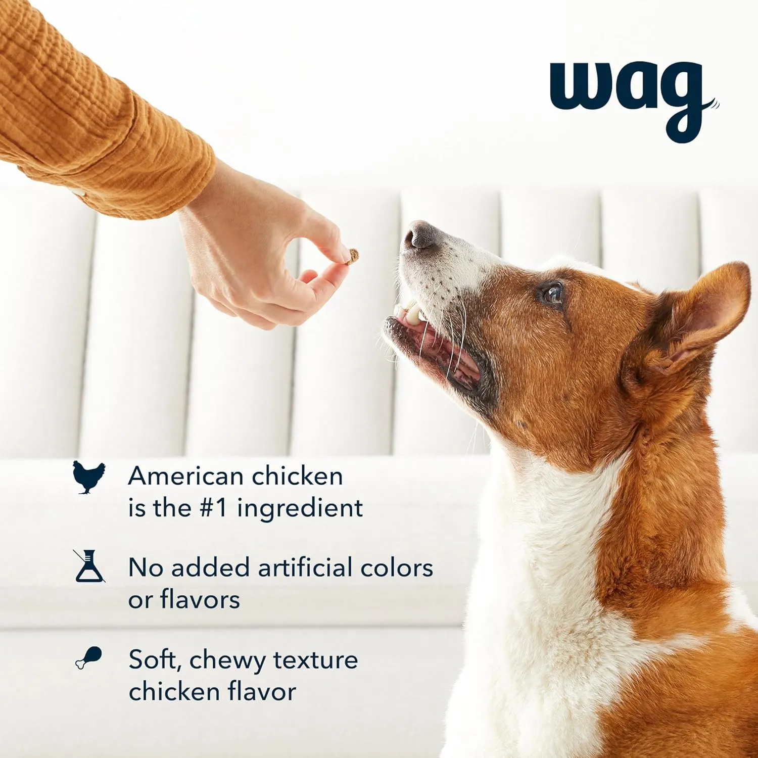 Amazon Brand  Wag Chicken Flavor Training Treats for Dogs, 2 lb. Bag (32 oz)
