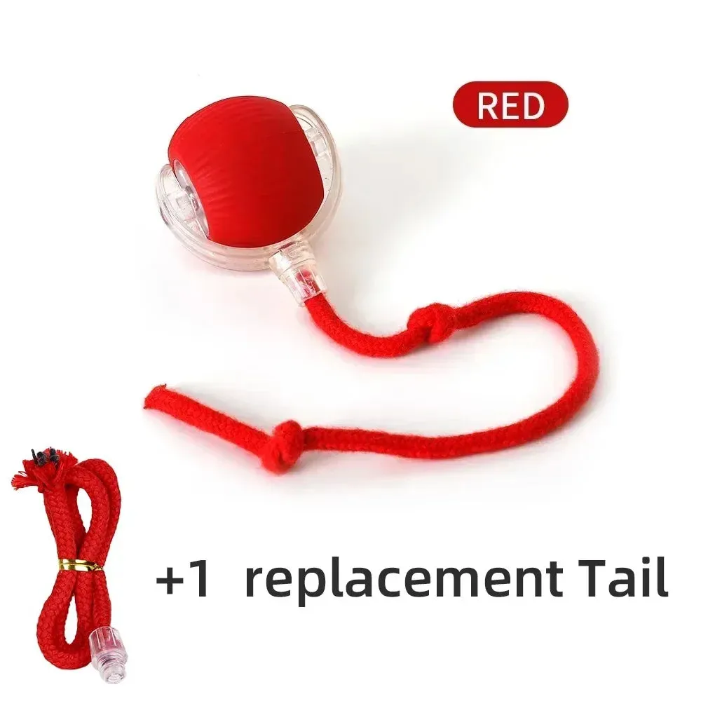 Auto Electric Rolling Ball Toys for Cats