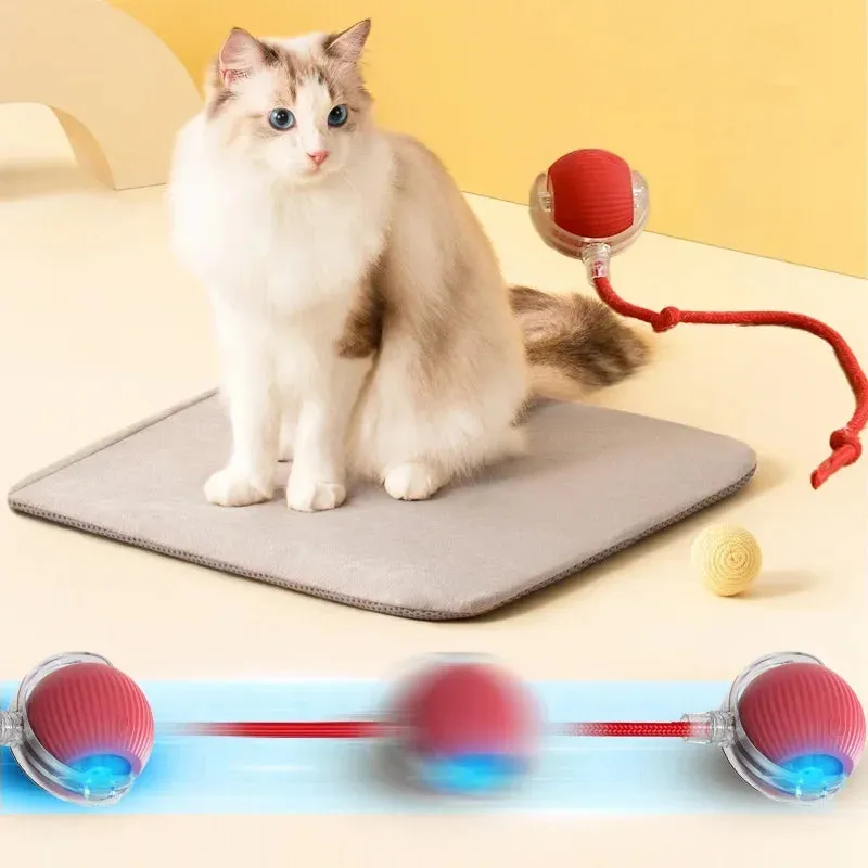 Auto Electric Rolling Ball Toys for Cats
