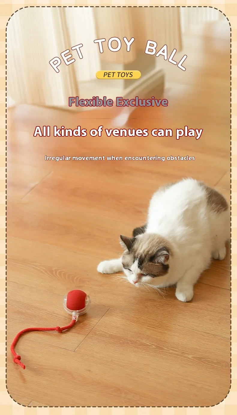 Auto Electric Rolling Ball Toys for Cats