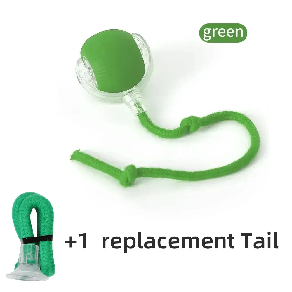 Auto Electric Rolling Ball Toys for Cats