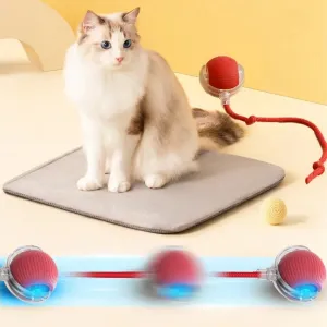 Auto Electric Rolling Ball Toys for Cats