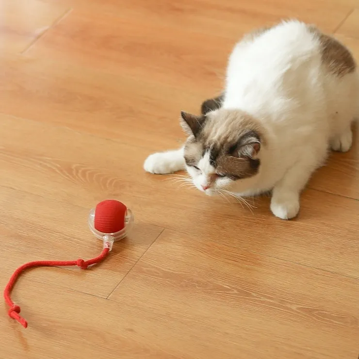 Auto Electric Rolling Ball Toys for Cats