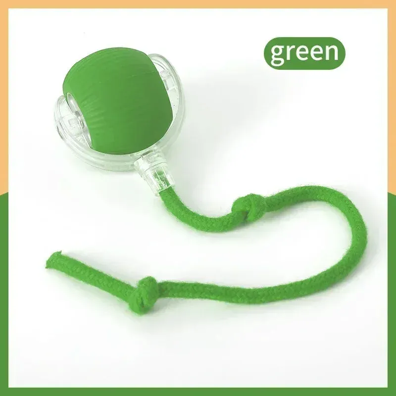 Auto Electric Rolling Ball Toys for Cats