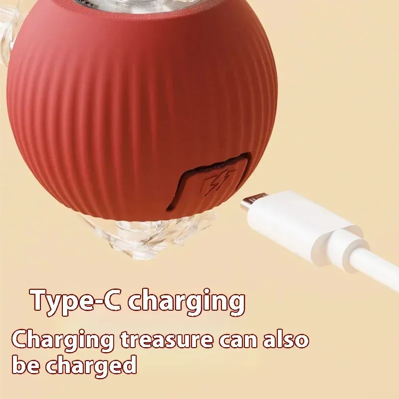 Auto Electric Rolling Ball Toys for Cats