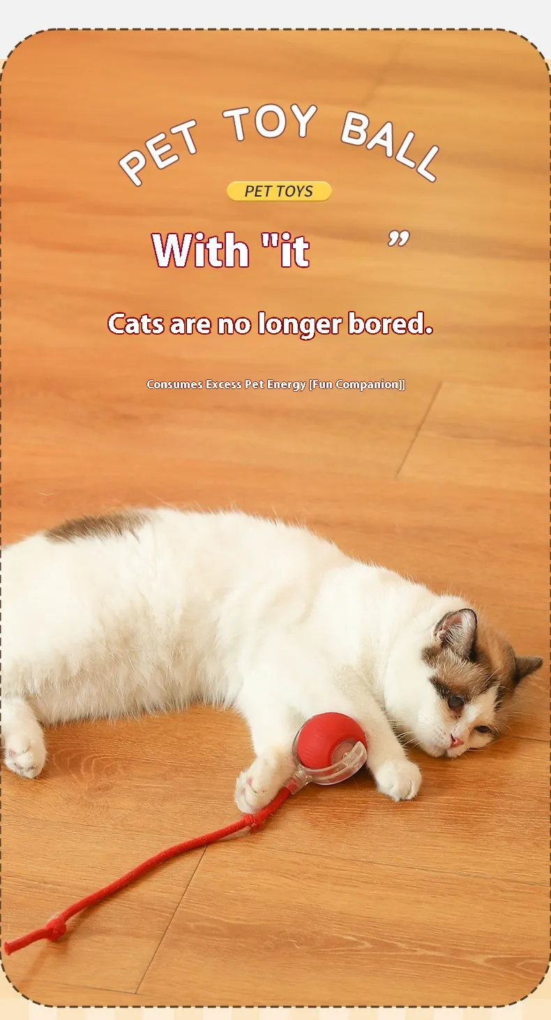 Auto Electric Rolling Ball Toys for Cats