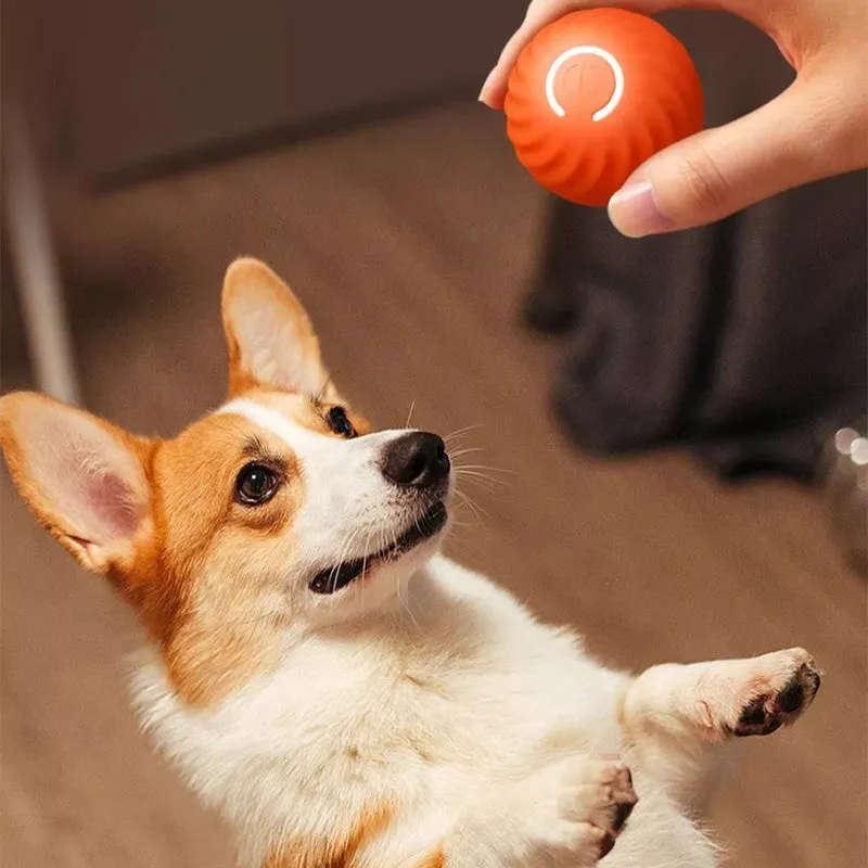Automatic smart teasing dog ball that can't be bitten