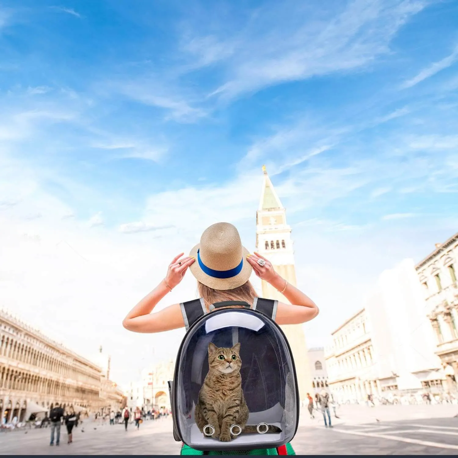 Backpack Carrier for Small Medium Dogs Cats, Airline Approved