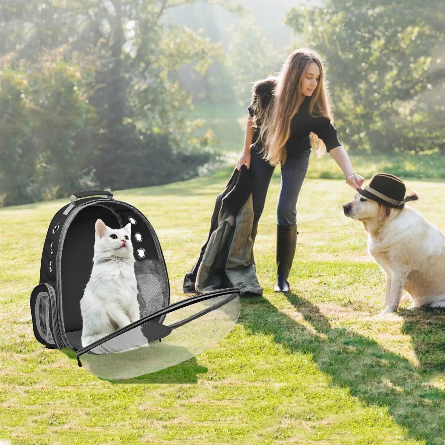 Backpack Carrier for Small Medium Dogs Cats, Airline Approved