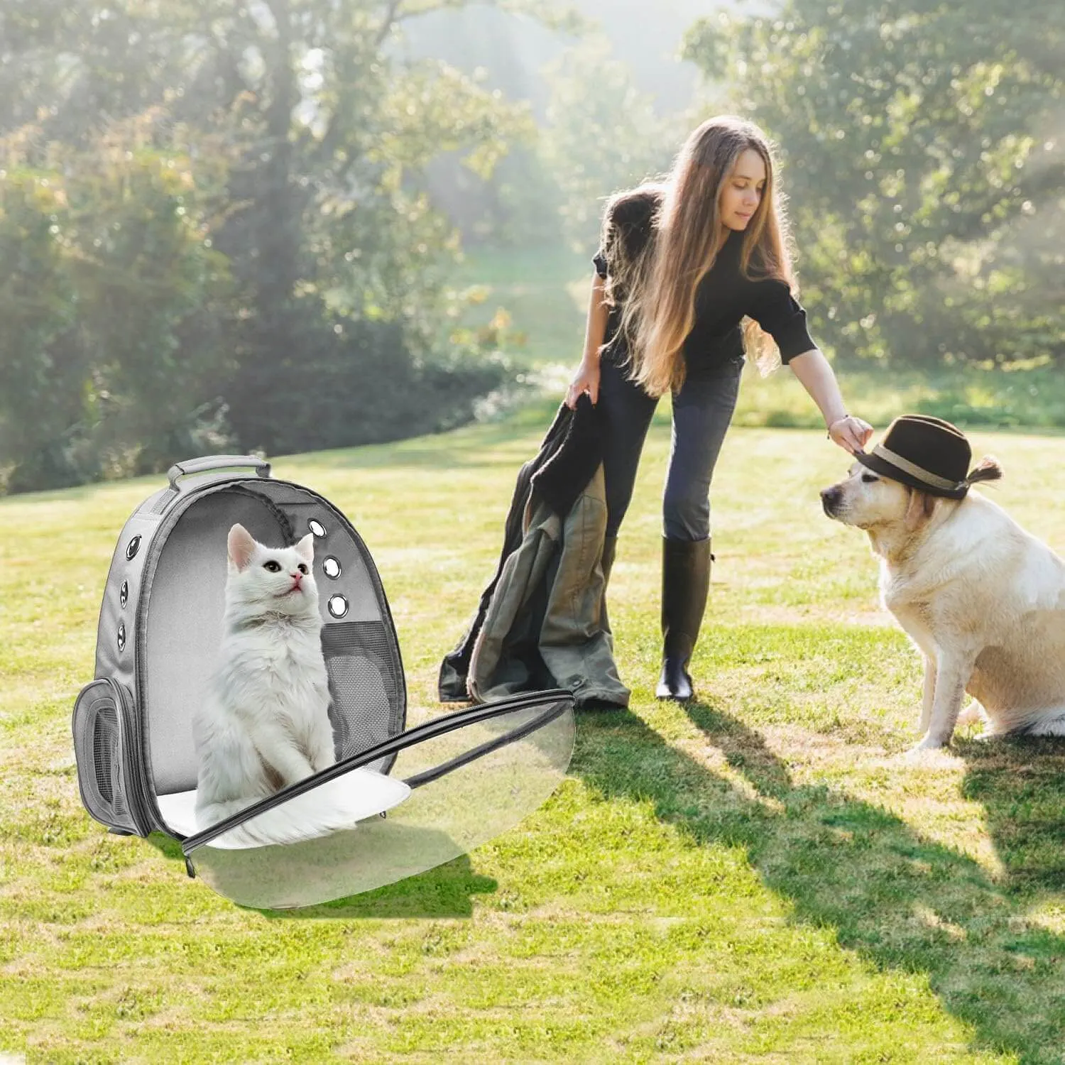 Backpack Carrier for Small Medium Dogs Cats, Airline Approved