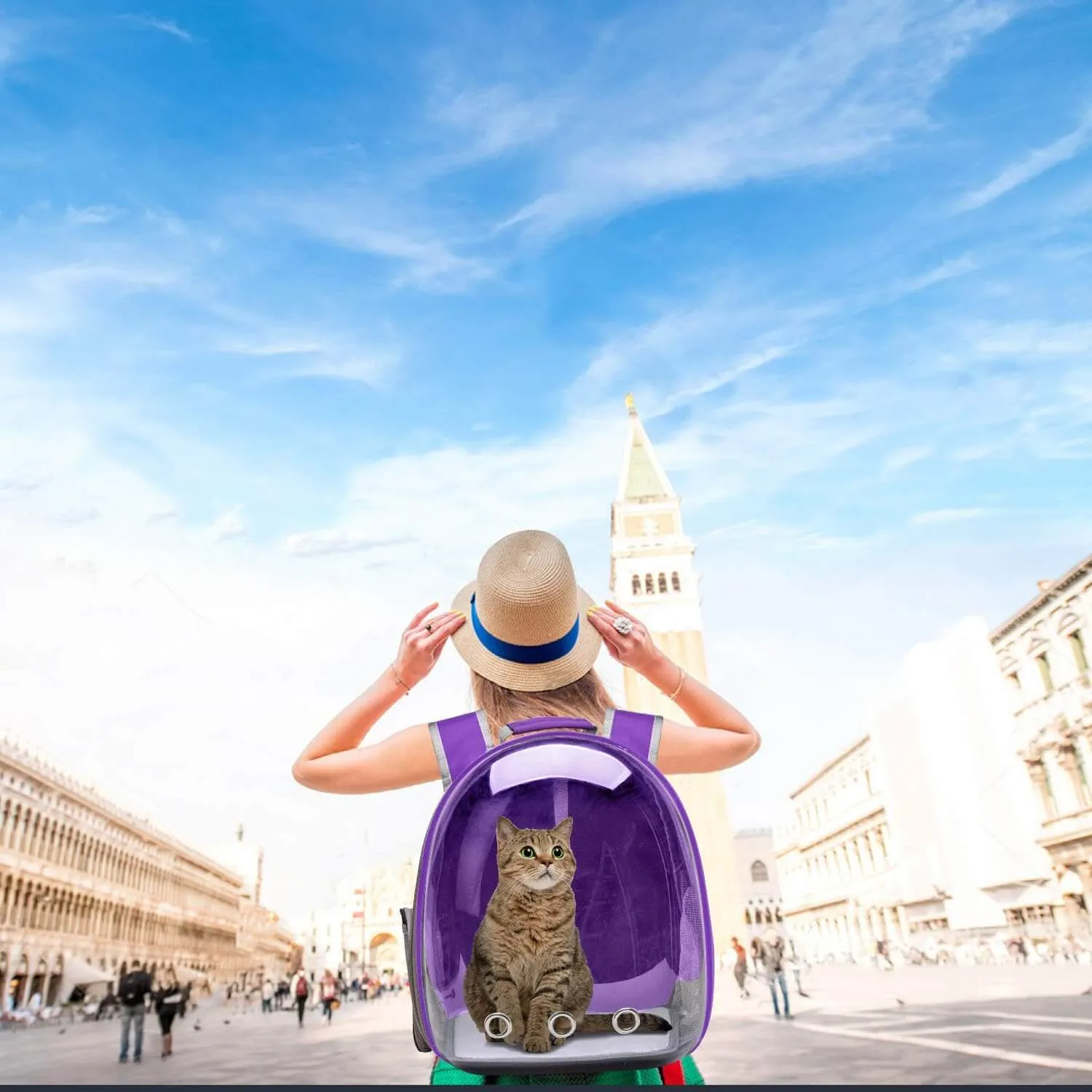 Backpack Carrier for Small Medium Dogs Cats, Airline Approved