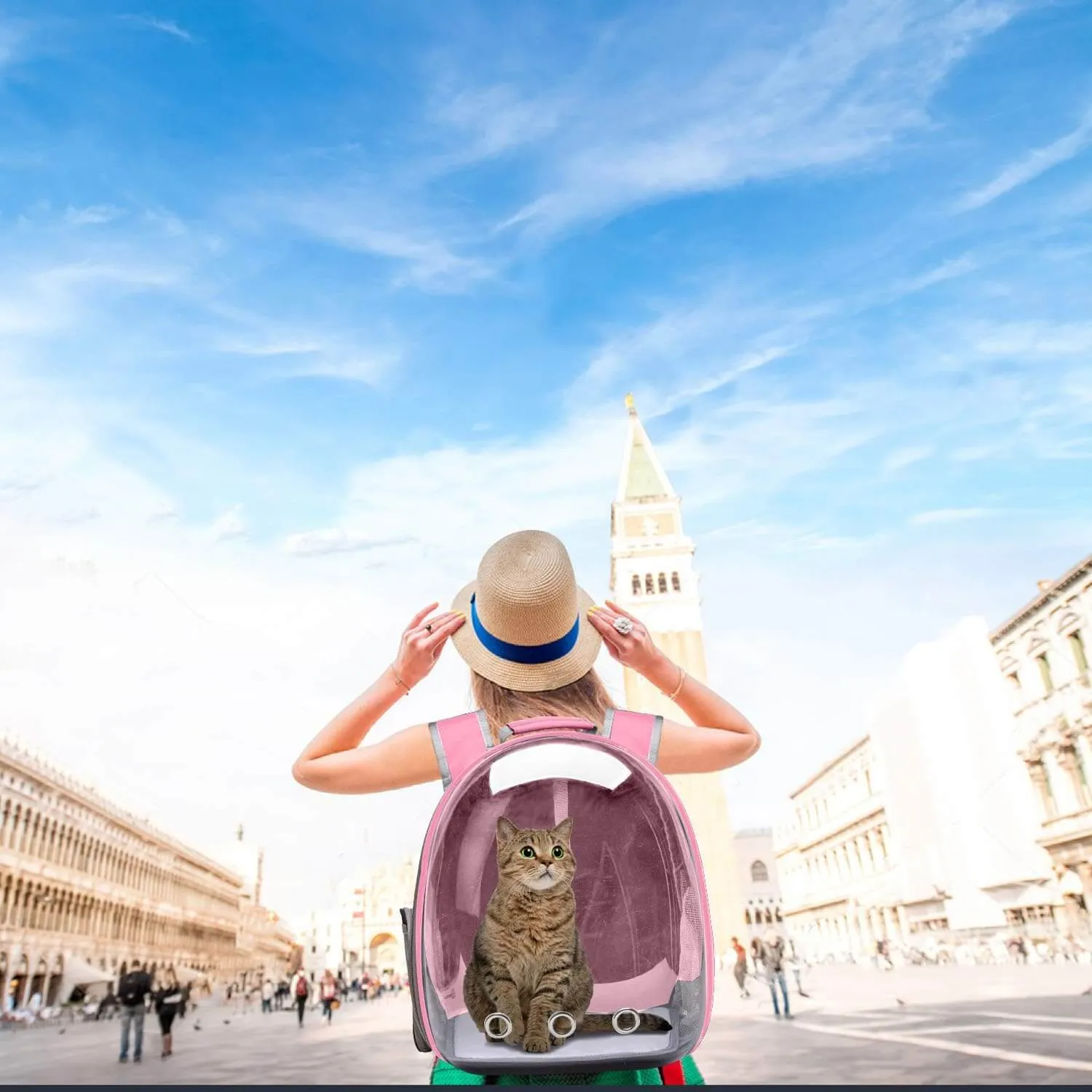 Backpack Carrier for Small Medium Dogs Cats, Airline Approved