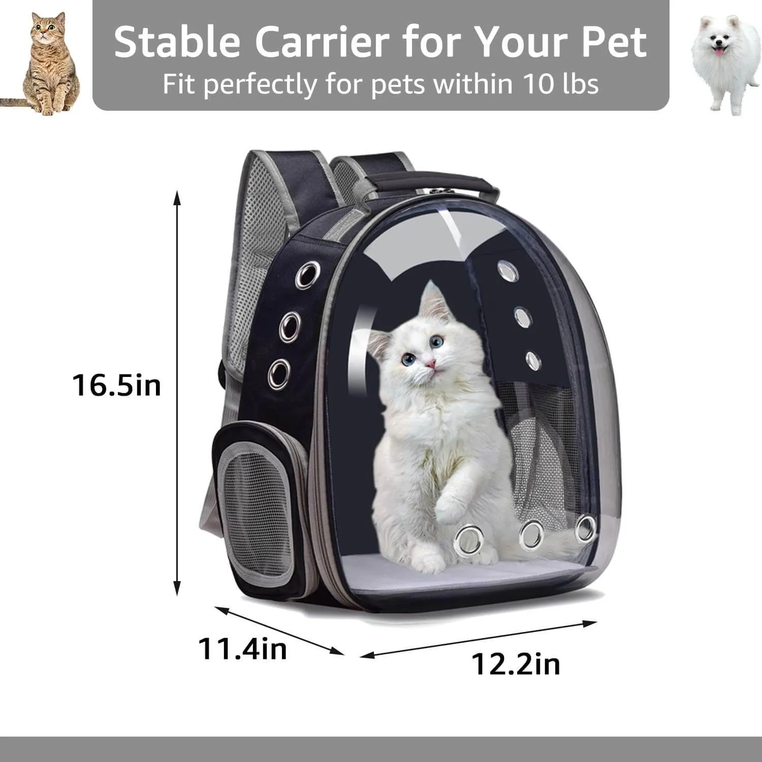 Backpack Carrier for Small Medium Dogs Cats, Airline Approved