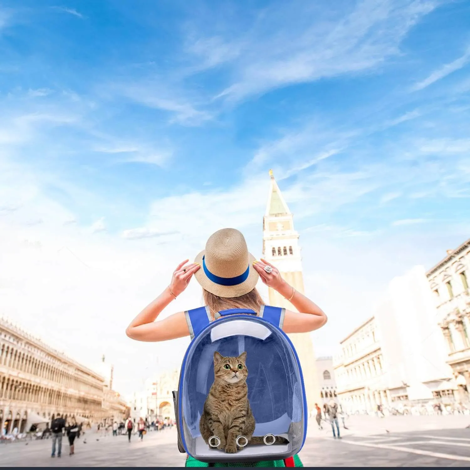 Backpack Carrier for Small Medium Dogs Cats, Airline Approved