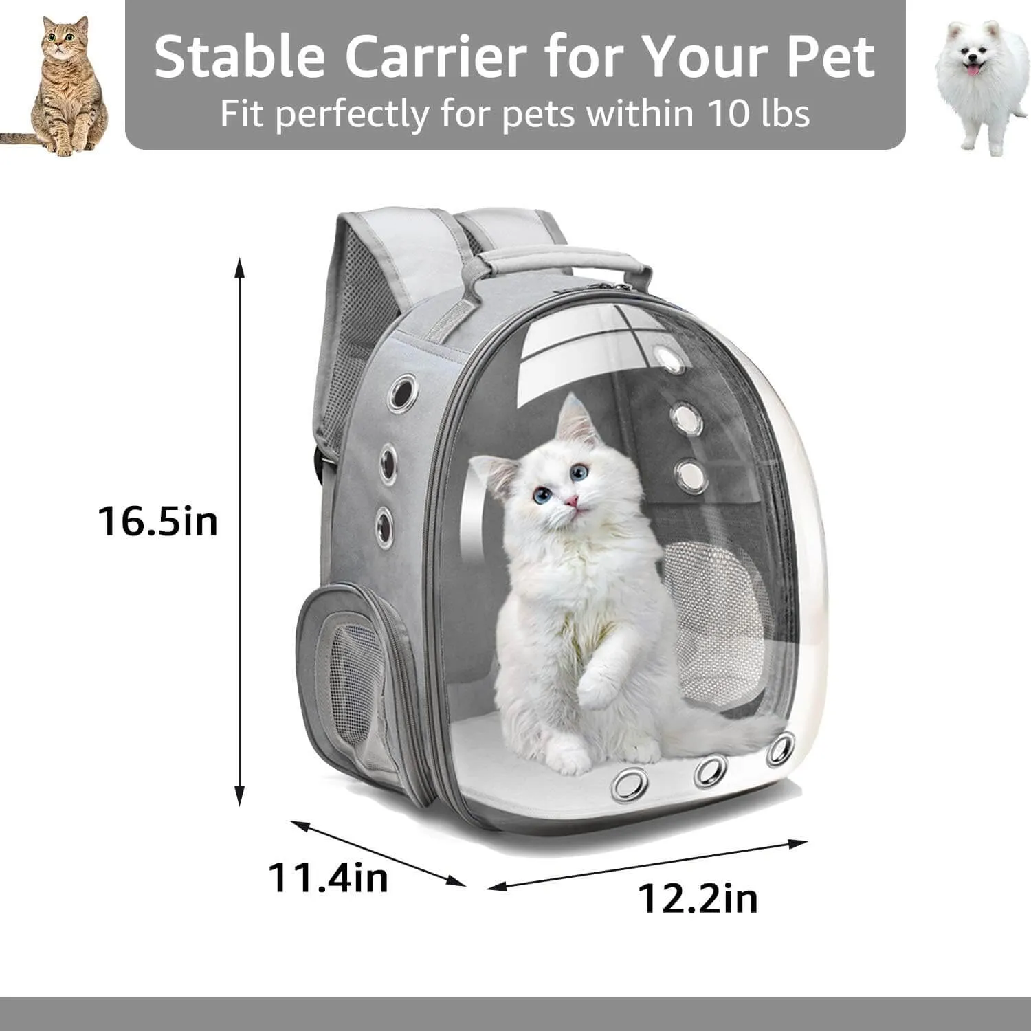 Backpack Carrier for Small Medium Dogs Cats, Airline Approved