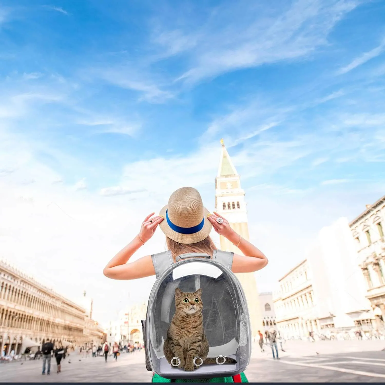 Backpack Carrier for Small Medium Dogs Cats, Airline Approved