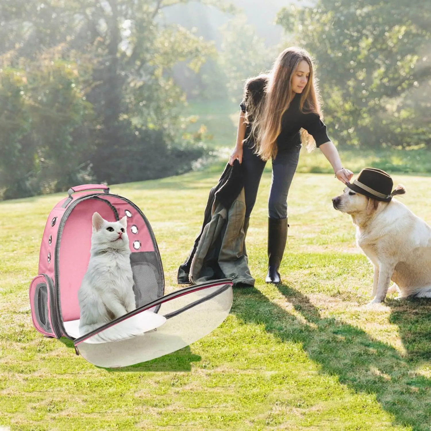 Backpack Carrier for Small Medium Dogs Cats, Airline Approved