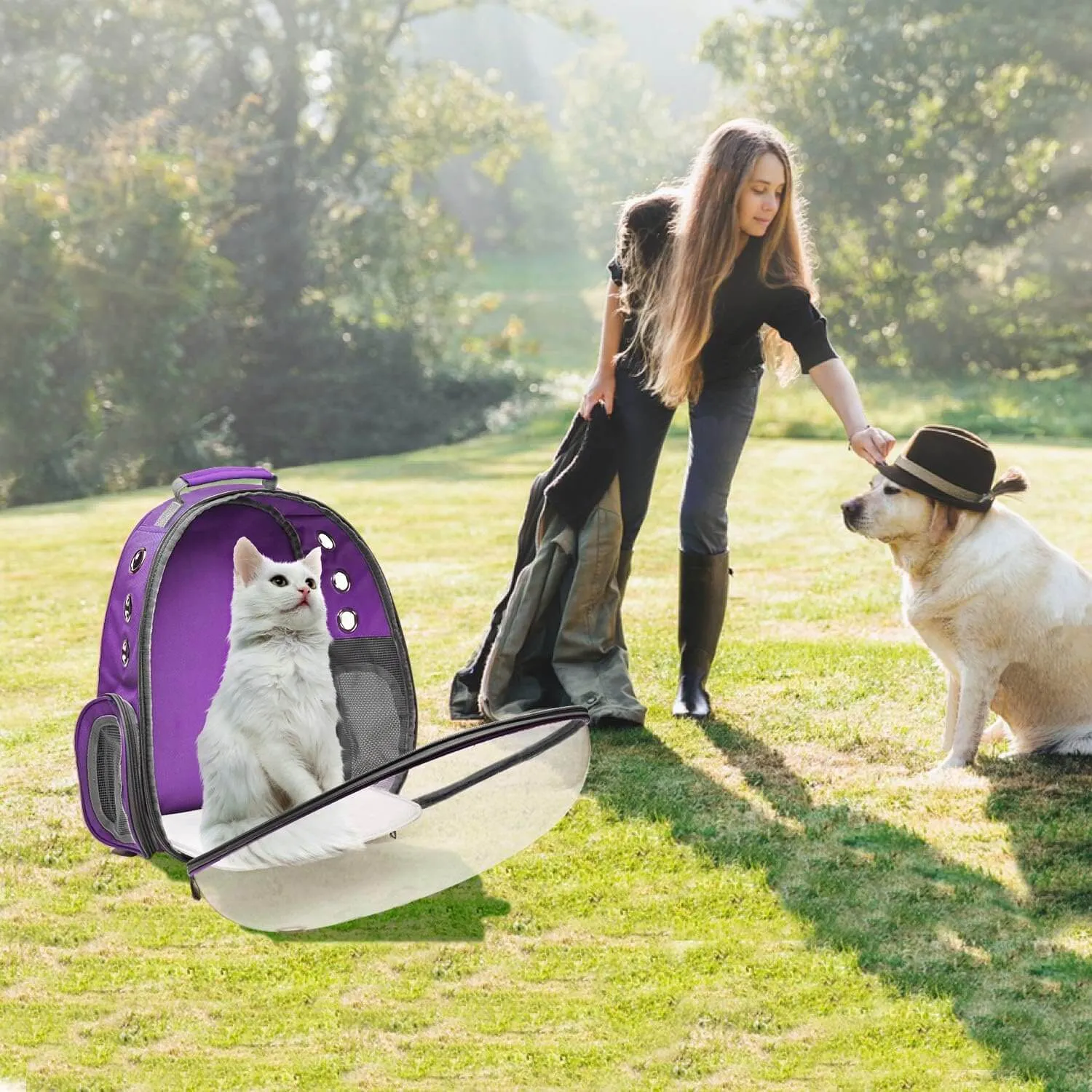 Backpack Carrier for Small Medium Dogs Cats, Airline Approved