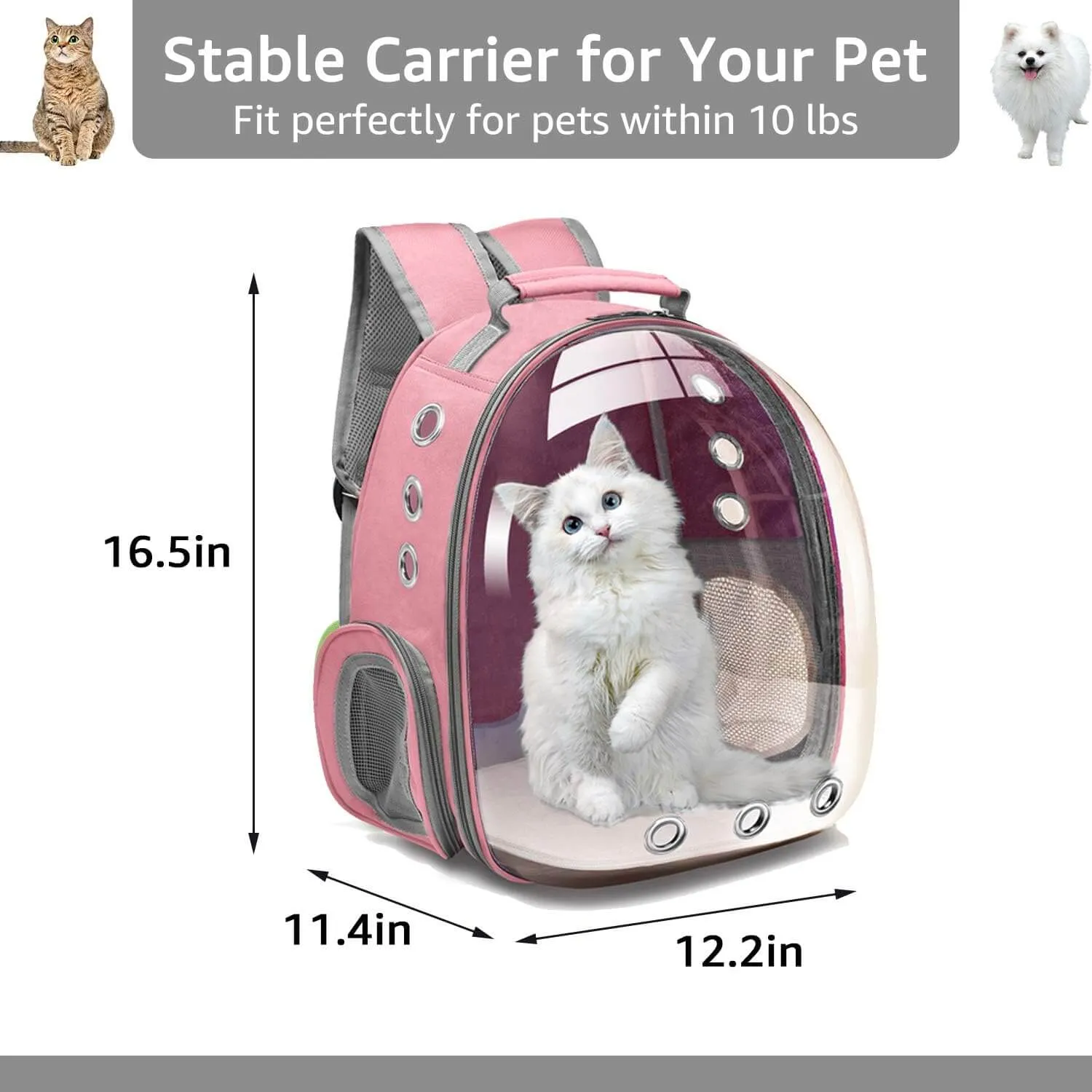 Backpack Carrier for Small Medium Dogs Cats, Airline Approved