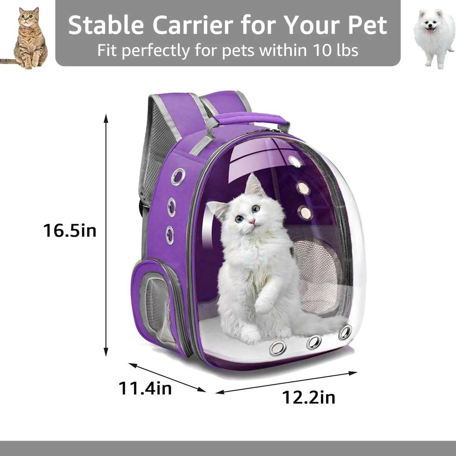 Backpack Carrier for Small Medium Dogs Cats, Airline Approved