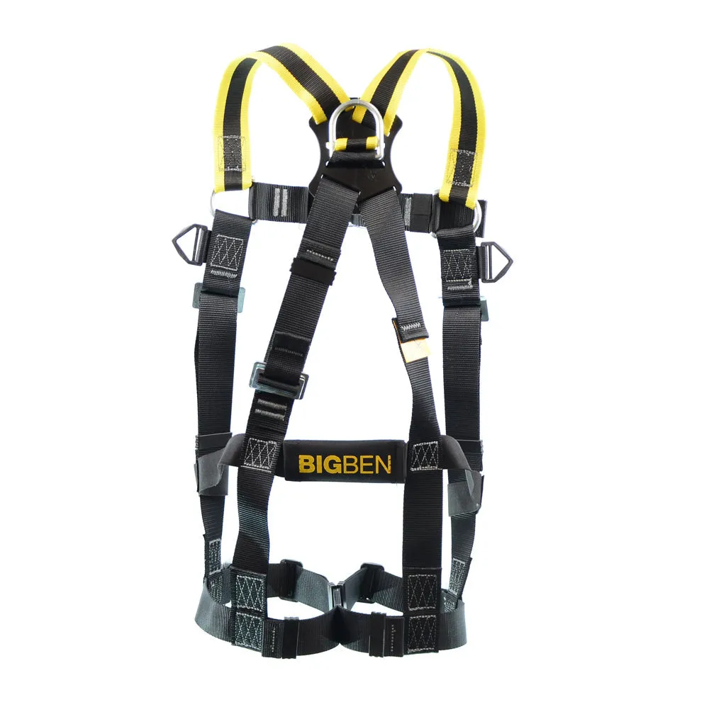BIGBEN® Deluxe 2 Point Fall Arrest Harness - HA Design
