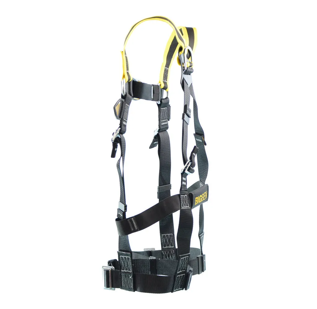 BIGBEN® Deluxe 2 Point Fall Arrest Harness - HA Design
