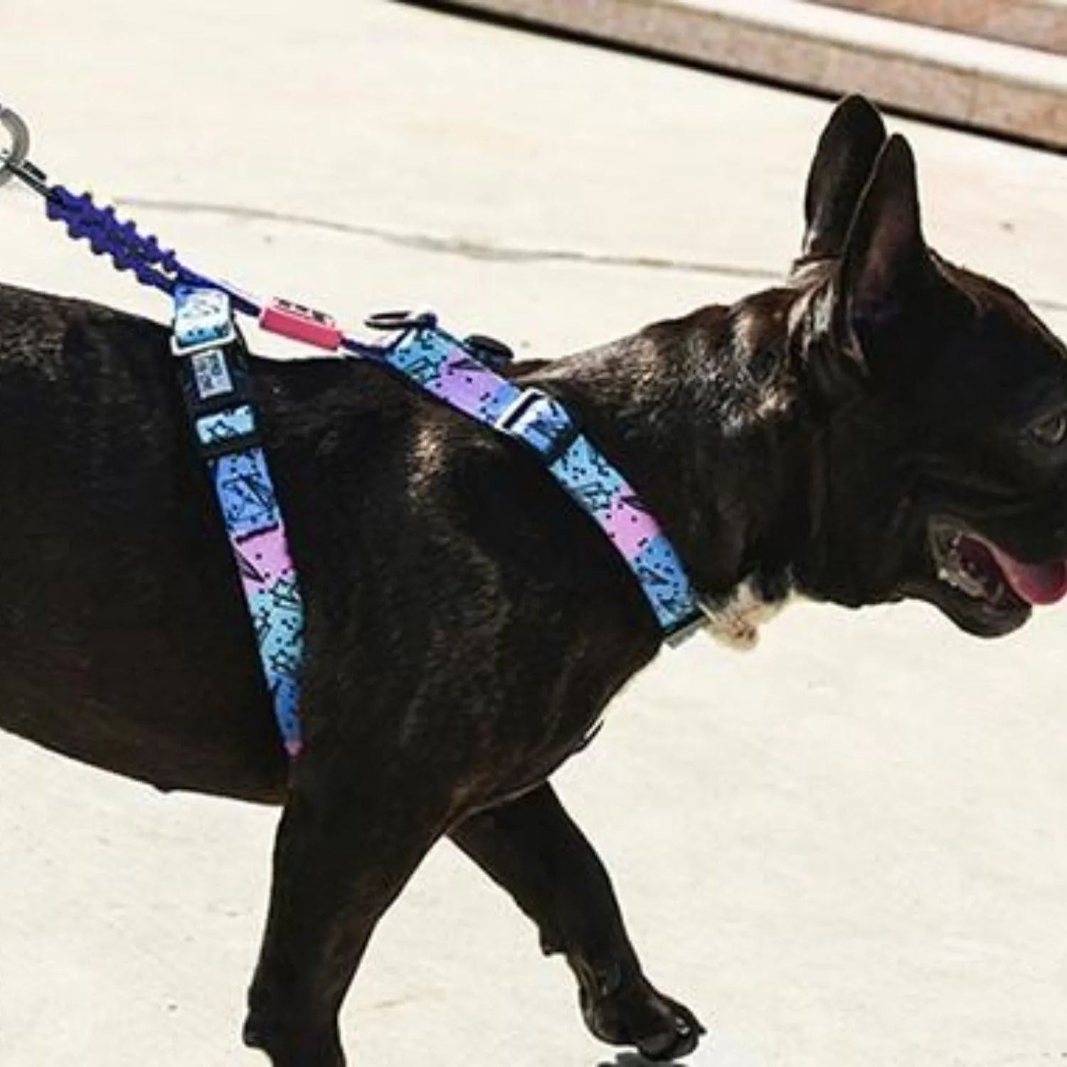 Bond For Love Dog Strap Harness - Meteor