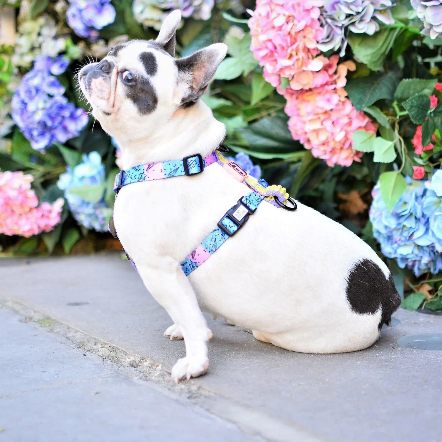 Bond For Love Dog Strap Harness - Meteor