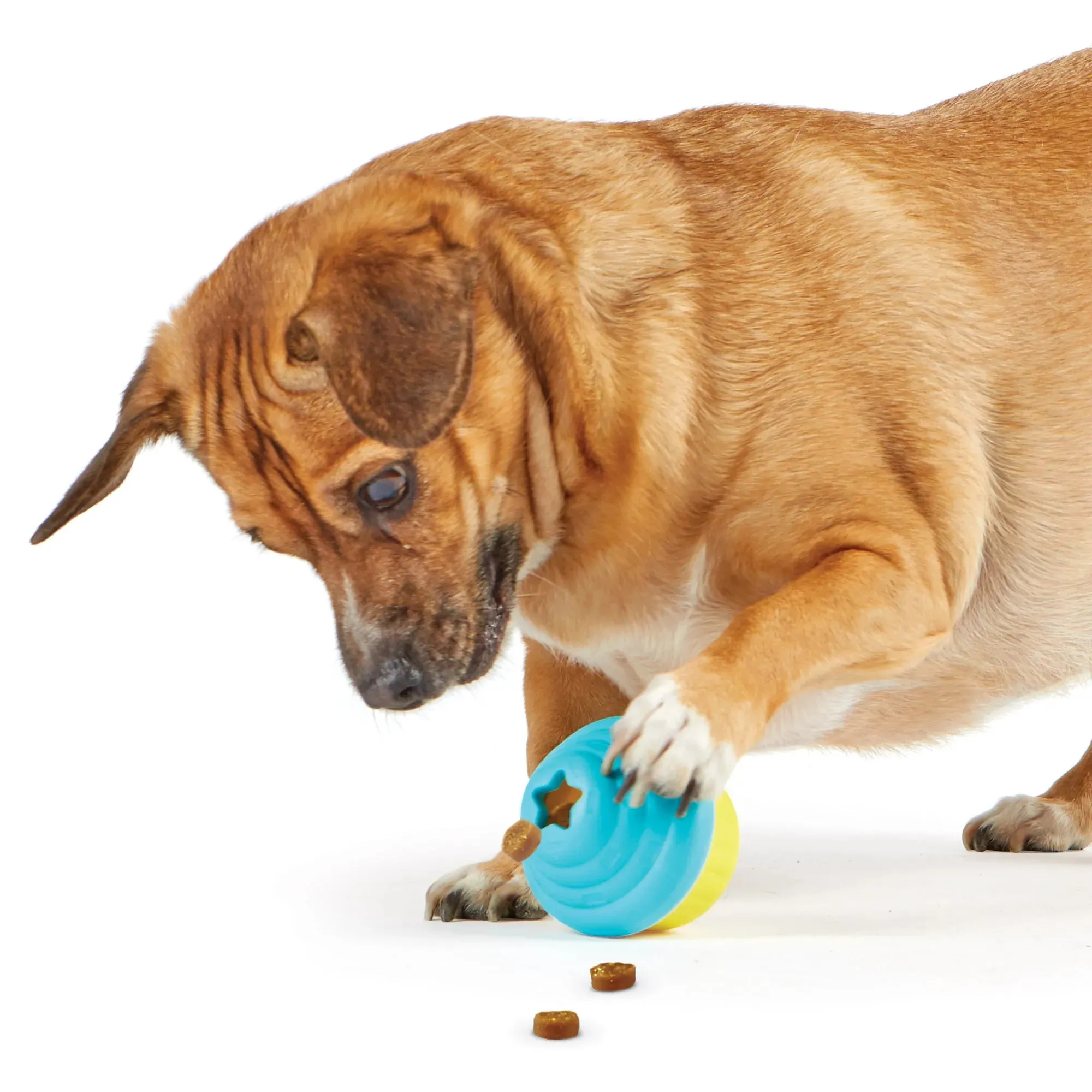 Brightkins - Cupcake Treat Dispenser (For Dogs)
