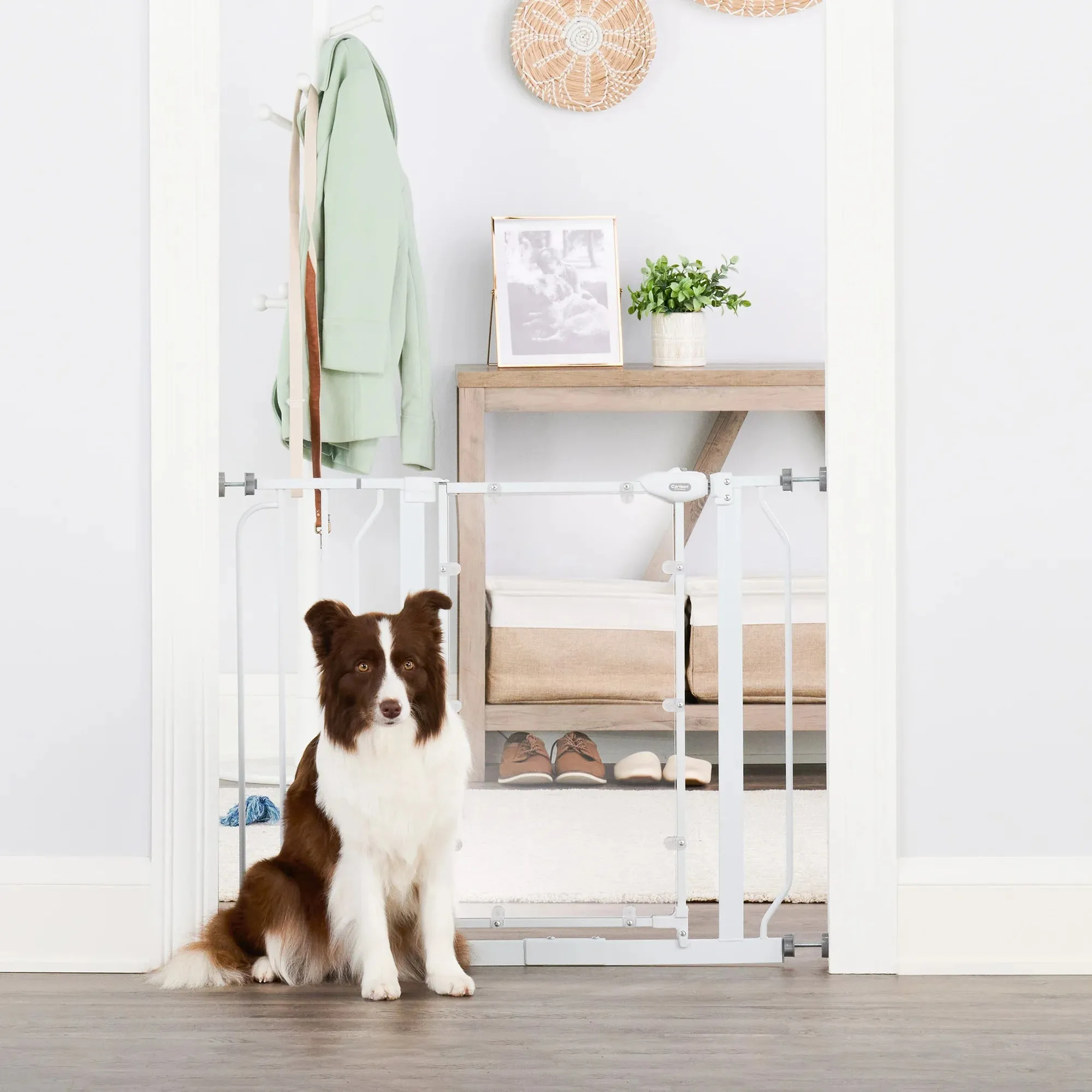 Direct View® Pet Gate