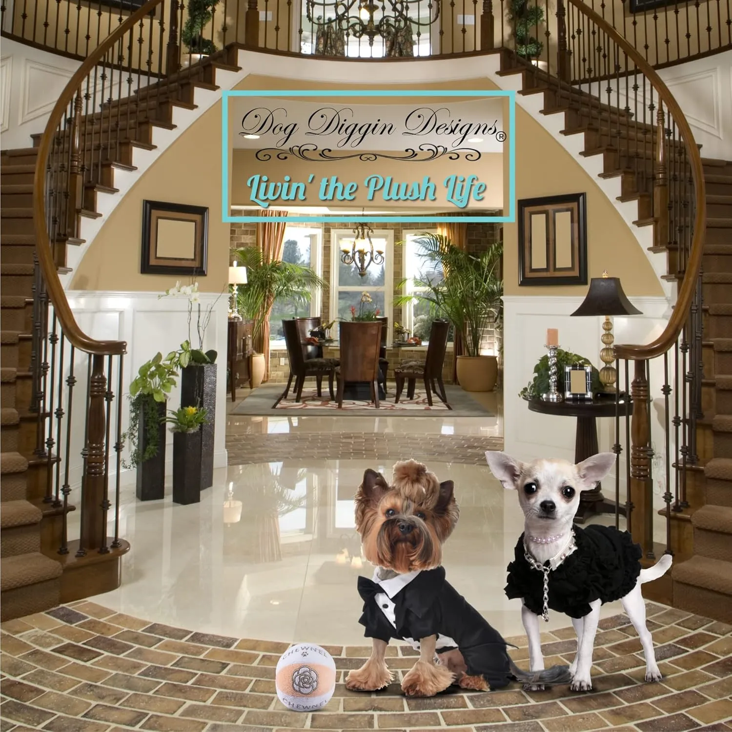 Dog Diggin Designs Runway Pup Collection | Unique Squeaky Parody Plush Dog Toys  Prt--Porter Dog Bones, Balls & More