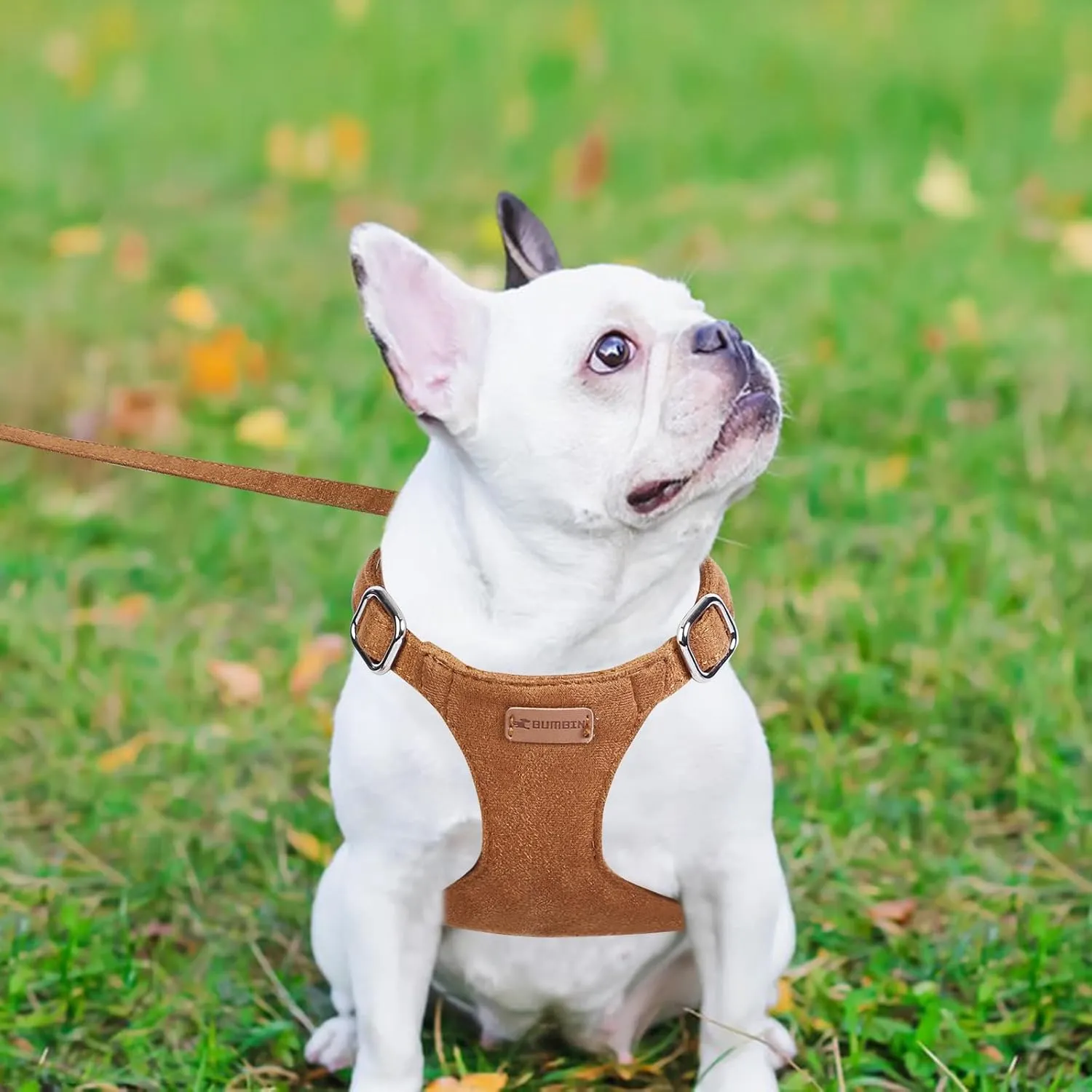 Dog Harness and Leash Set, XXS No Pull Adjustable Puppy Harness with Multifunction Pink Dog Leash and Dog Collar, Soft No Choke Escape Proof Pet Harness Vest for Small Dogs and Cats (Brown, S)