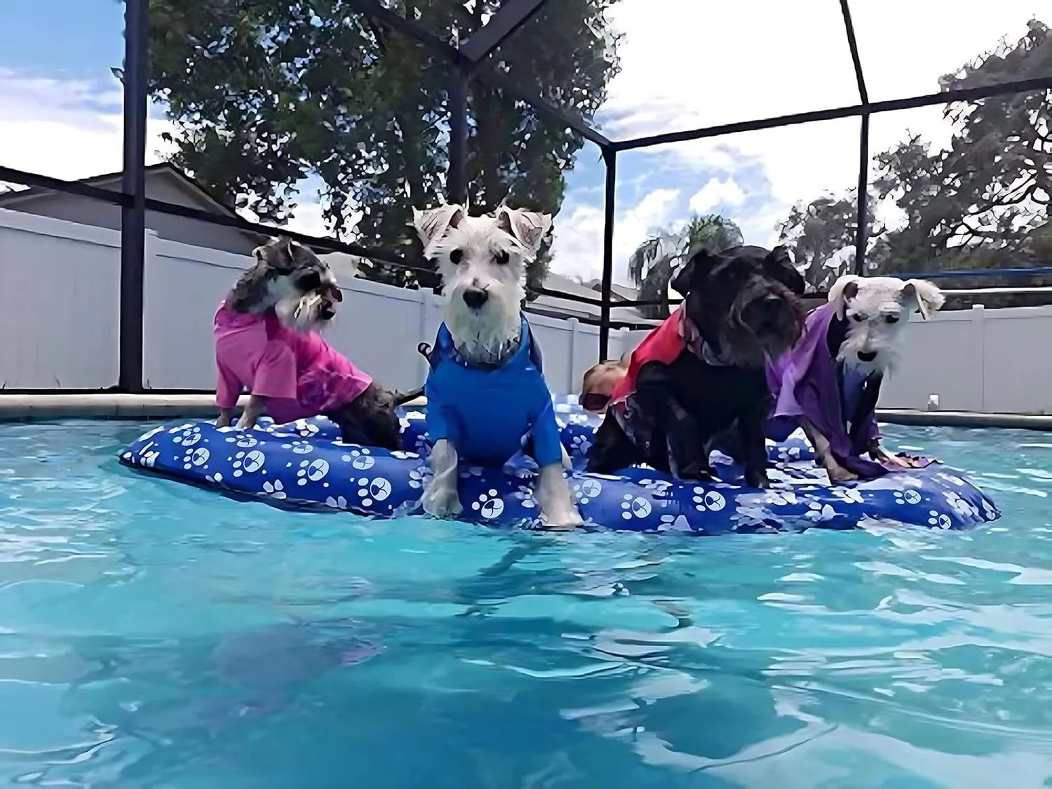 Dog Pool Float Inflatable Dog Floats for Pool Dog Floaties Swimming Pool Floats for Small Medium Large Dog Puncture Proof