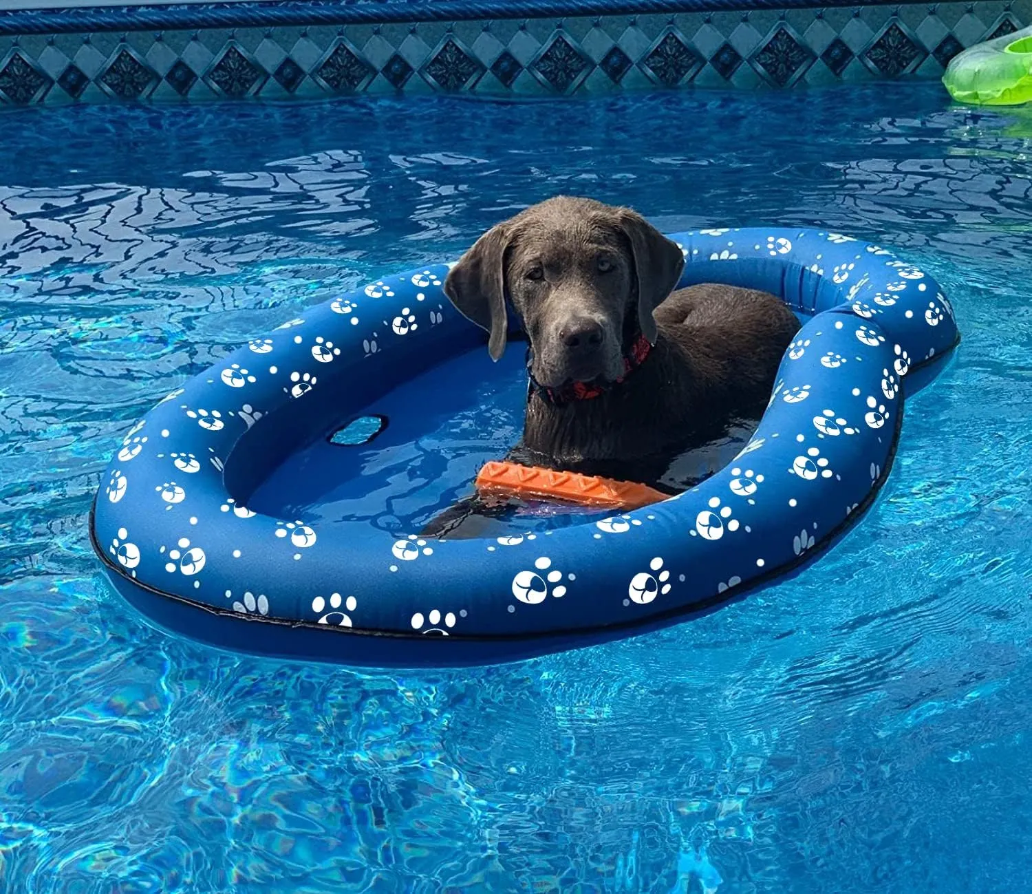 Dog Pool Float Inflatable Dog Floats for Pool Dog Floaties Swimming Pool Floats for Small Medium Large Dog Puncture Proof