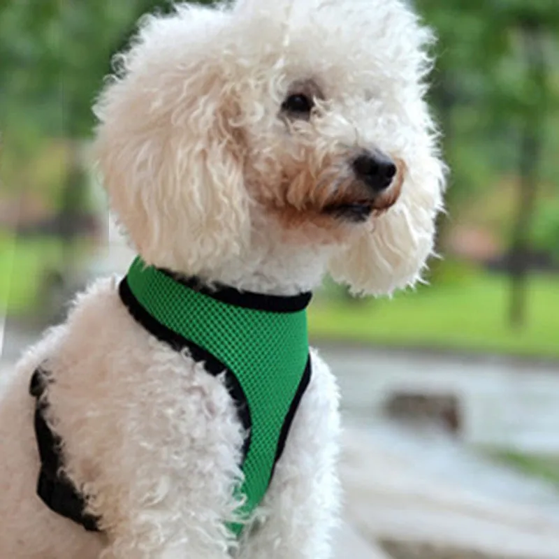 Fashion High Quality Mesh Dog Harness Puppy Comfort Harness