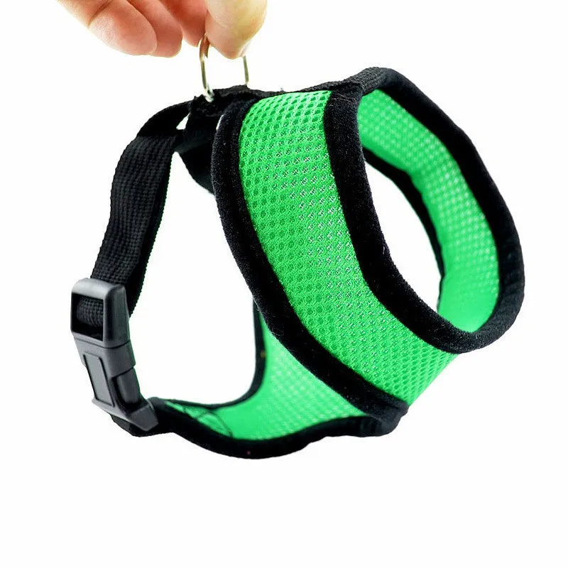 Fashion High Quality Mesh Dog Harness Puppy Comfort Harness
