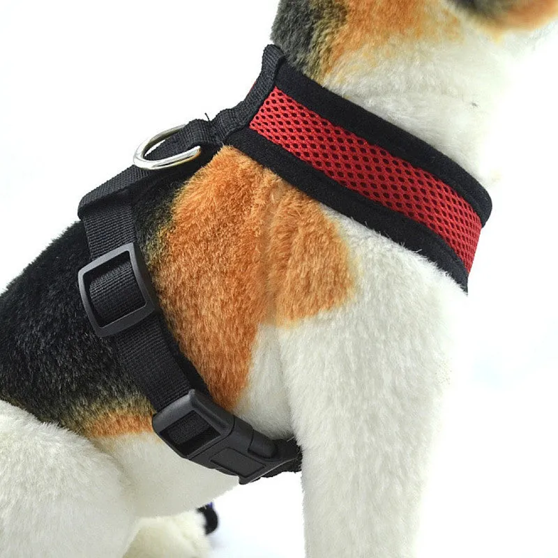 Fashion High Quality Mesh Dog Harness Puppy Comfort Harness