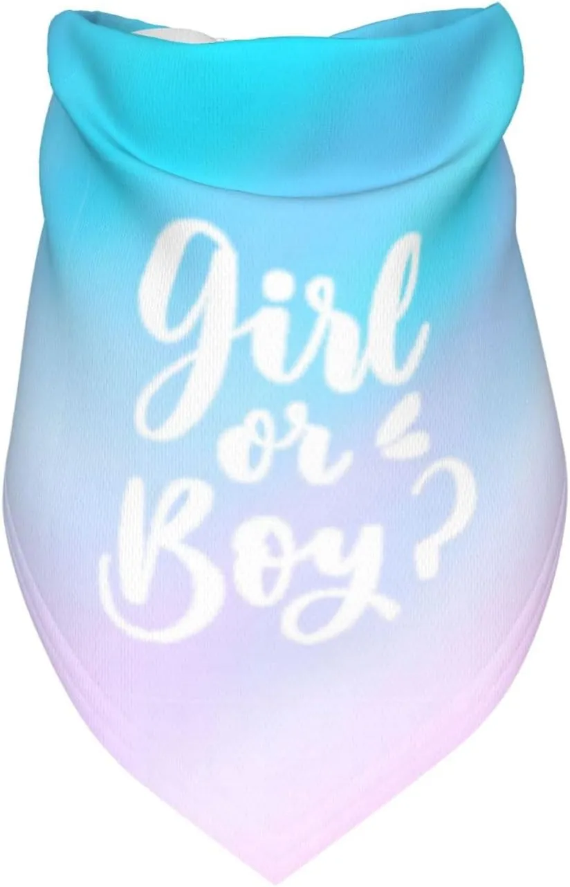 He Or She What Will It Be?Pregnancy Announcement, Gender Reveal,New Baby Shower,Reversible,Dog and Baby Gifts (Colorful)