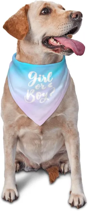 He Or She What Will It Be?Pregnancy Announcement, Gender Reveal,New Baby Shower,Reversible,Dog and Baby Gifts (Colorful)