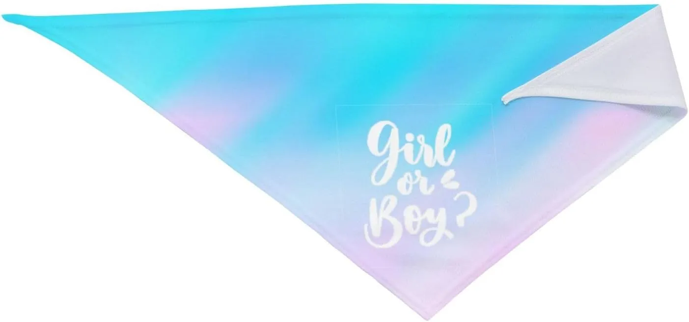 He Or She What Will It Be?Pregnancy Announcement, Gender Reveal,New Baby Shower,Reversible,Dog and Baby Gifts (Colorful)