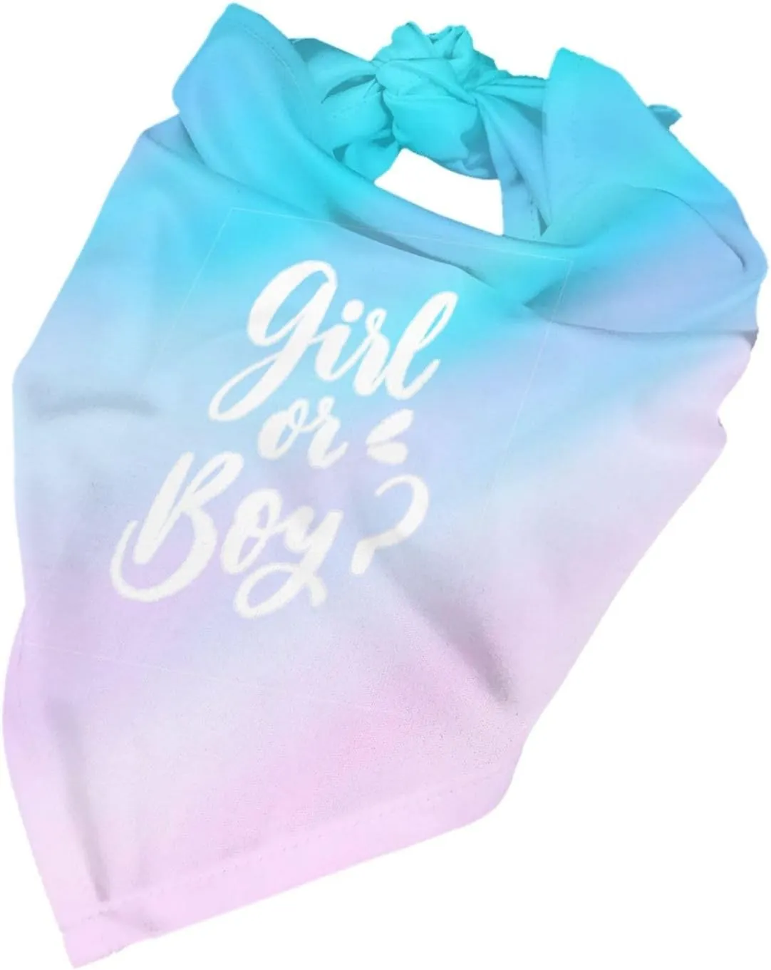 He Or She What Will It Be?Pregnancy Announcement, Gender Reveal,New Baby Shower,Reversible,Dog and Baby Gifts (Colorful)