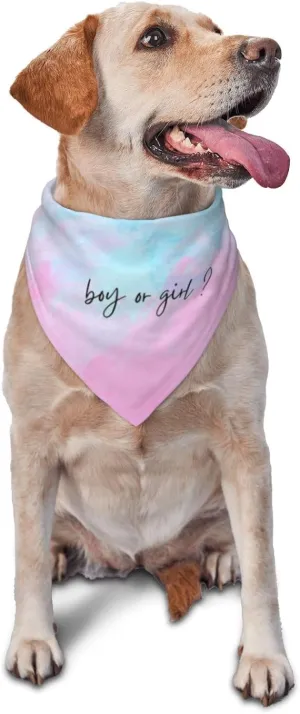 He Or She What Will It Be?Pregnancy Announcement, Gender Reveal,New Baby Shower,Reversible,Dog and Baby Gifts (Multicolor-1)