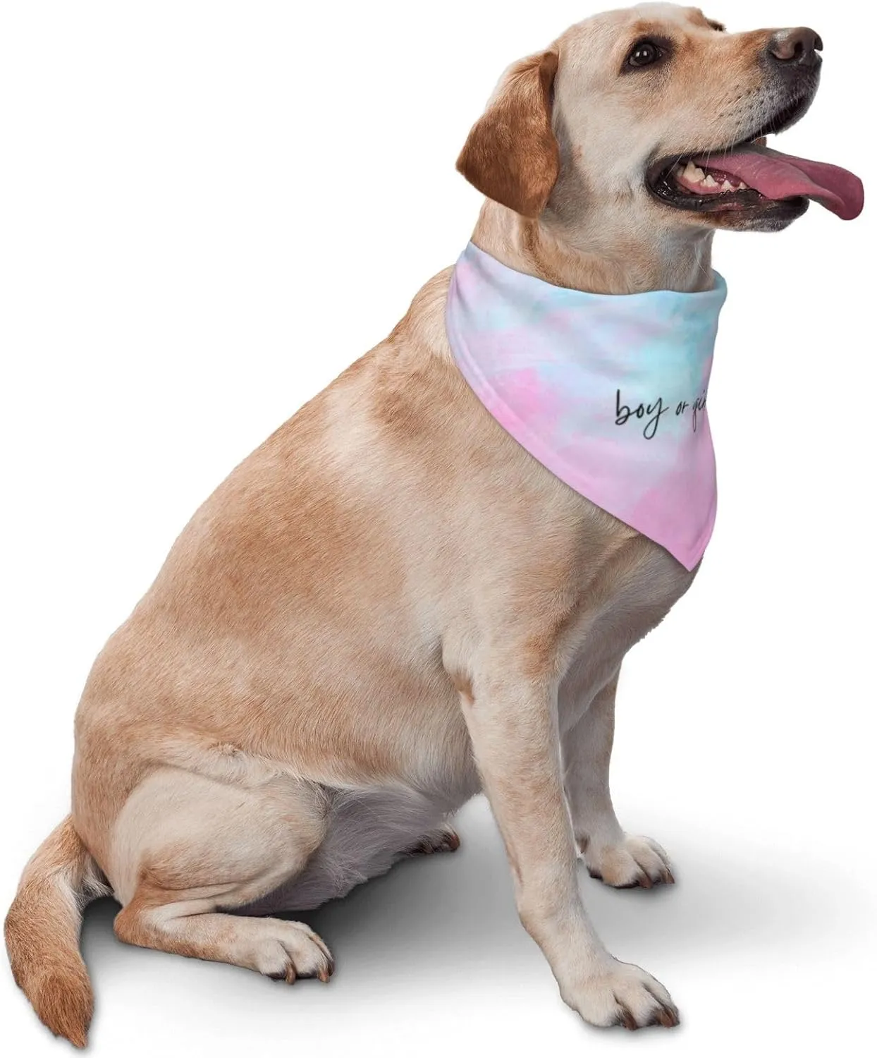 He Or She What Will It Be?Pregnancy Announcement, Gender Reveal,New Baby Shower,Reversible,Dog and Baby Gifts (Multicolor-1)