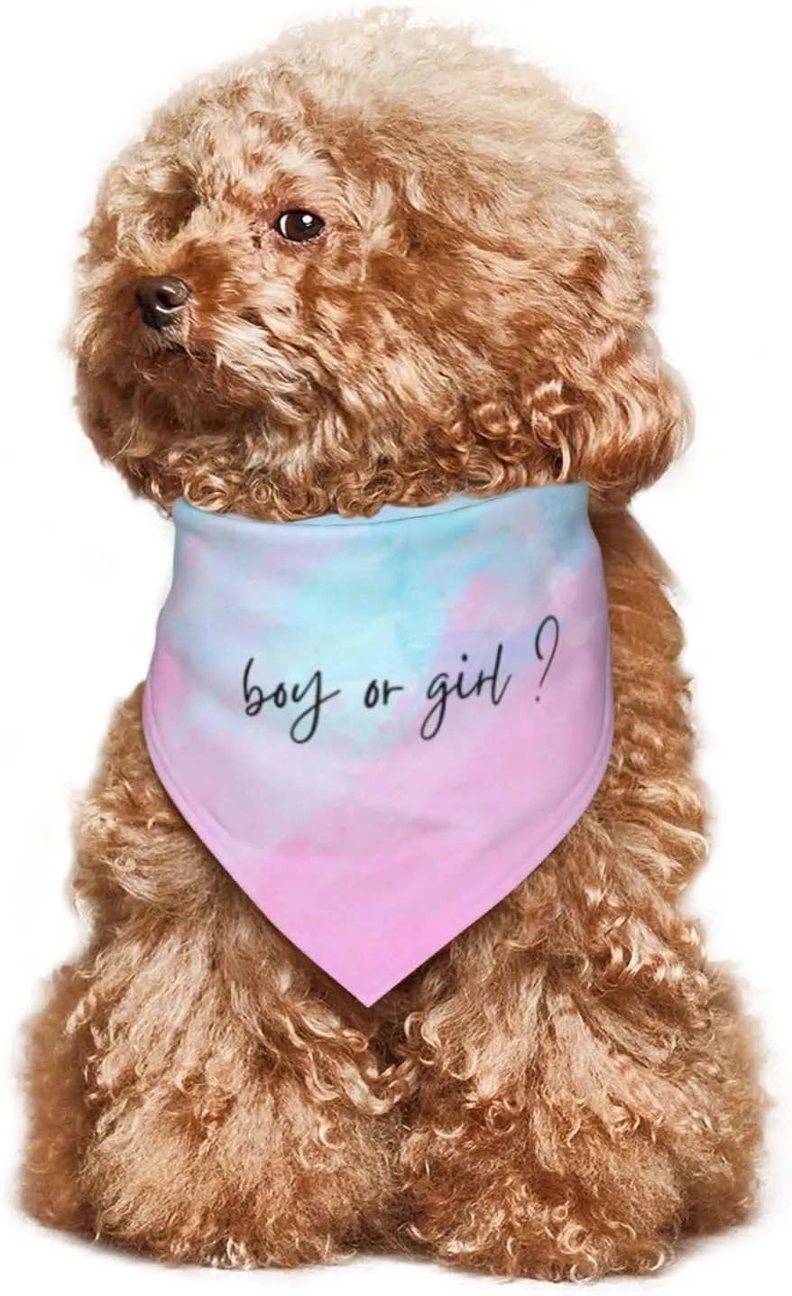 He Or She What Will It Be?Pregnancy Announcement, Gender Reveal,New Baby Shower,Reversible,Dog and Baby Gifts (Multicolor-1)