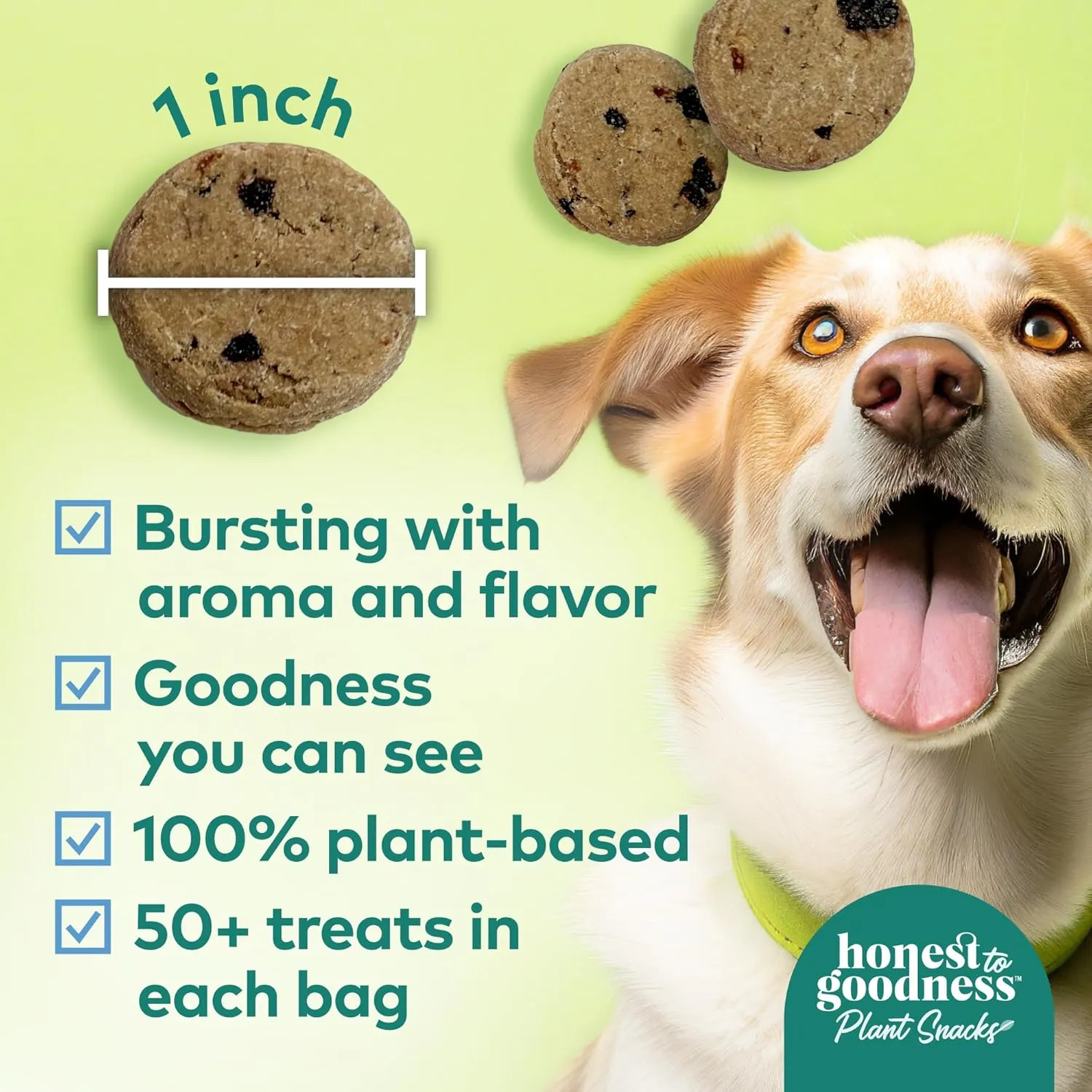 Honest to Goodness Plant Snacks Golden Years Blueberry & Carrot Recipe Dog Treats, Enriched with Omega 3s & Postbiotics, 8oz