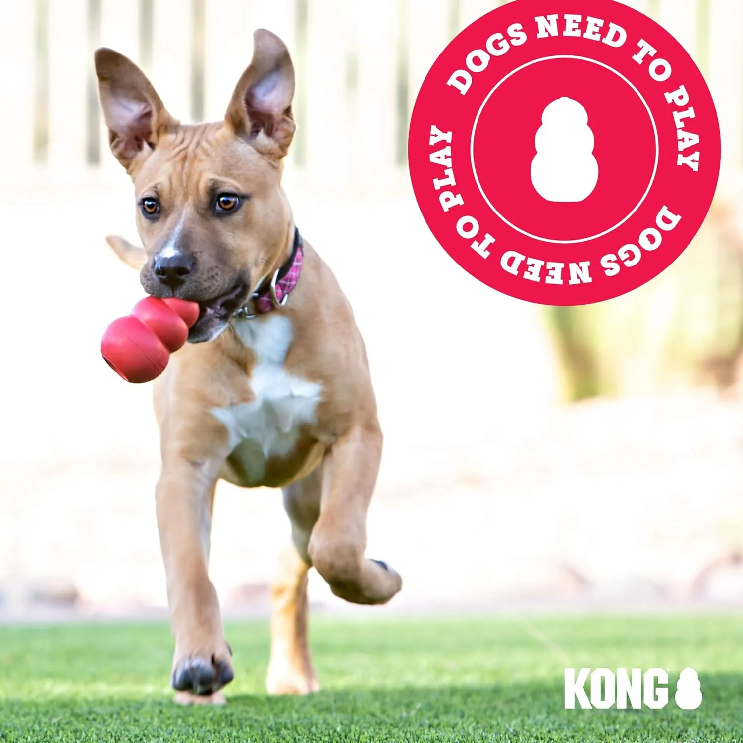 KONG Goodie Bone with Rope - Classic Durable Natural Rubber Dog Bone, Supports Mental Engagement - Treat Dispensing - Red - for Medium Dogs