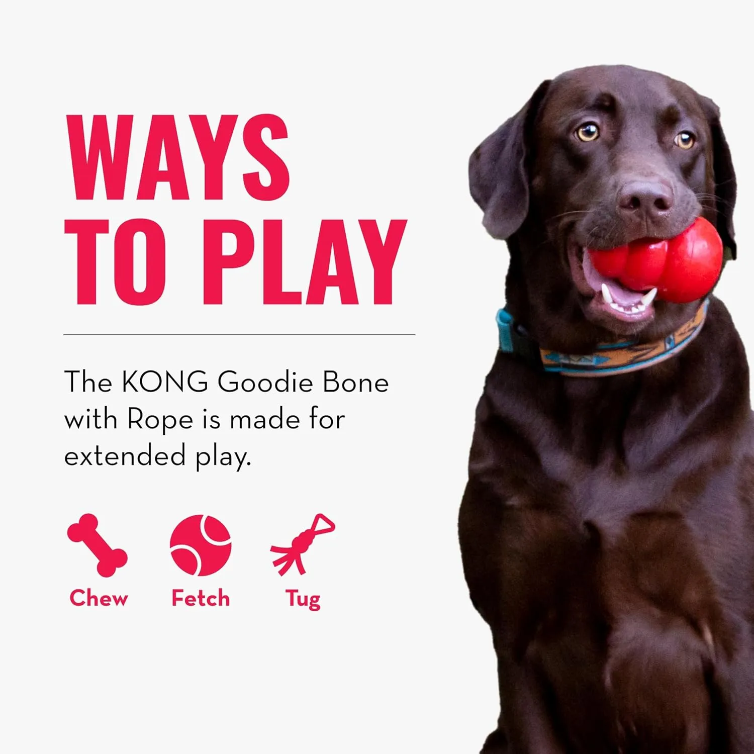 KONG Goodie Bone with Rope - Classic Durable Natural Rubber Dog Bone, Supports Mental Engagement - Treat Dispensing - Red - for Medium Dogs